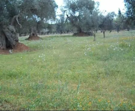 In Nel Salento *