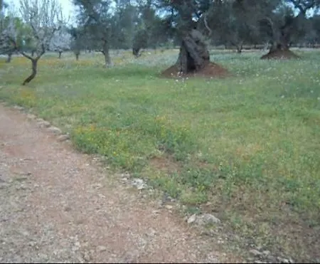 Casa di campagna In Nel Salento