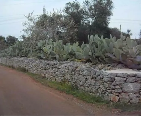 Casa Zappa D'argento In Salento منزل ريفي فرانكافيلا فونتانا