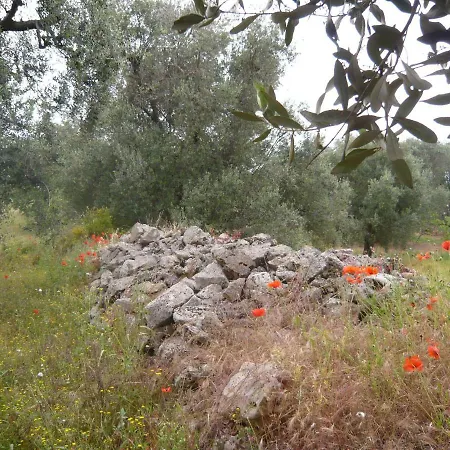 In Nel Salento Casa di campagna