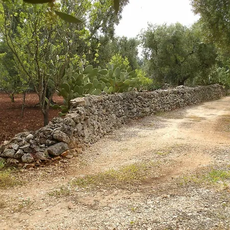 In Nel Salento Francavilla Fontana