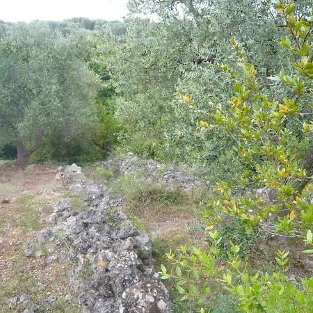 In Nel Salento * Francavilla Fontana